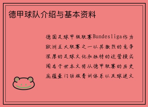 德甲球队介绍与基本资料